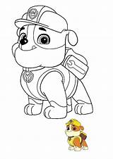 Paw Patrol Rubble Ruben Pat Patrouille Camion Anglais Possede Zuma Youngest Coloring1 Coloriages sketch template