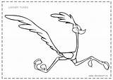 Runner Looney Tunes Roadrunner Colorat Coyote Wile Beep Desene Animate Planse Inapoi Animados sketch template