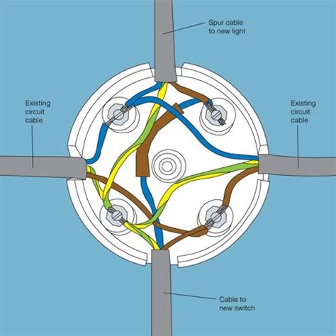 diy   switch wiring diagram diy finest website electrical wiring diagram httpswwwbuz