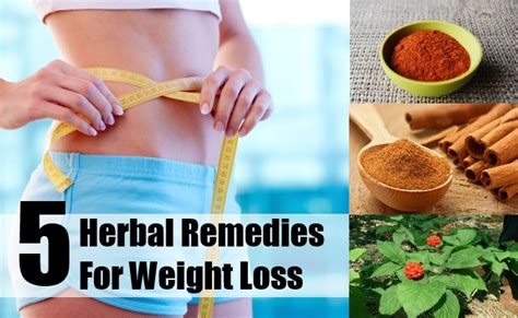 top 5 herbal remedies for weight loss how to lose weight with herbs