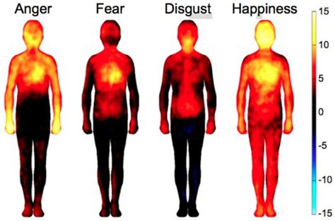 mapping how emotions manifest in the body the atlantic