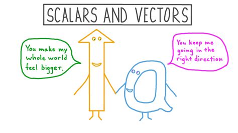 lesson video scalars  vectors nagwa