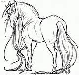 Friesian Horses Herd Letscolorit Grown 4to40 sketch template