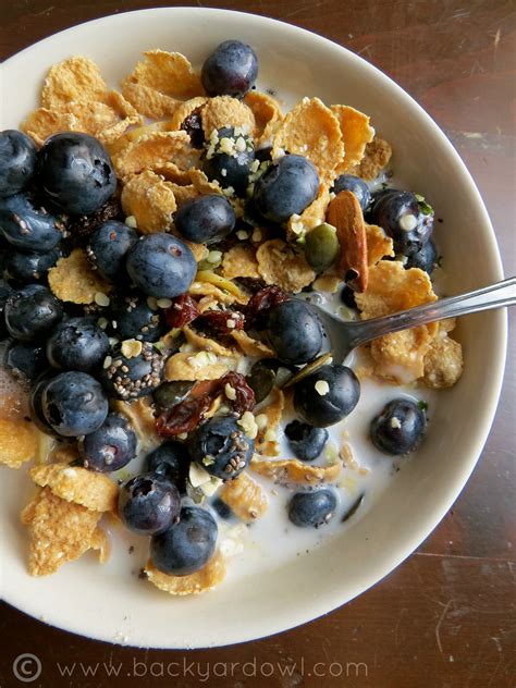 homemade muesli breakfast cereal with banana chips and raisins eat