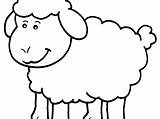 Cute Sheep Coloring Pages Getcolorings Lamb sketch template