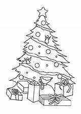 Christmas Tree Coloring Kids sketch template