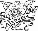 Alabama Coloring Pages State Flower Kids Flowers Drawing Central Gif Clipartmag sketch template