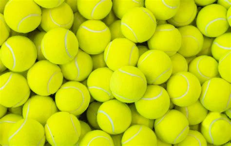 tennis balls safe  dogs patchpuppycom