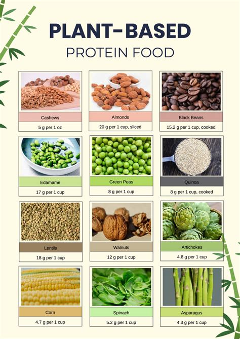 protein rich foods chart