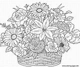 Coloring Pages Adult Flower Cute Printable Flowers Adults Print Color sketch template
