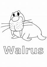 Coloring Animals Arctic Walrus Pages Kids Animal Printable Color Artic Step Worksheets Fox Polar Song Children Winter Print North Seal sketch template