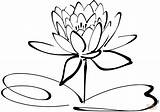 Coloring Lily Water Pages Printable sketch template