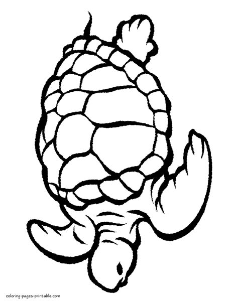 sea animals colouring sheet