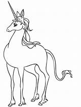 Unicorn Last Coloring Pages Getcolorings sketch template