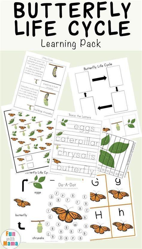 butterfly life cycle learning pack butterfly life cycle life cycles