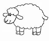 Lambs Sheep sketch template