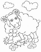 Coloring Pages Ram Animals Bullfinch Starfish sketch template