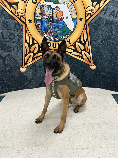 Charlotte County Sheriffs Office K9 Rico Has Received Donation Of Body