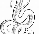 King Cobra Coloring Pages Tut Drawing Printable Snake Color Getdrawings Line Getcolorings Cadabra Animals Tomb Clipartmag Spitting sketch template