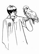 Potter Harry Coloring Hedwig Owl Pages Color Her Netart Print Clipart Popular Library Template sketch template