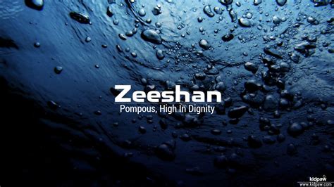 zeeshan  meaning  english urdu origin luck number