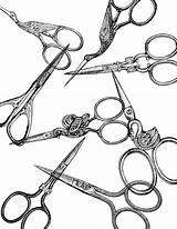 Scissors Vintage Drawing Collage Clipart Clip Background Antique Graphics Digital Scissor Sheet Paper Illustrations Shears Sewing Wallpaper Tattoo Illustration Webstockreview sketch template