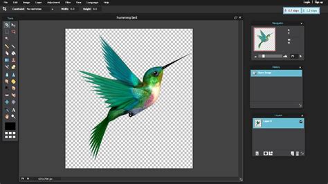 photo editor top   photo editing software  update