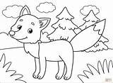 Coloring Fox Pages Printable Drawing sketch template