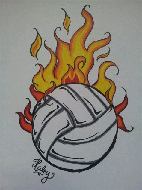 volleyball pic w sharpies volleyball drawing