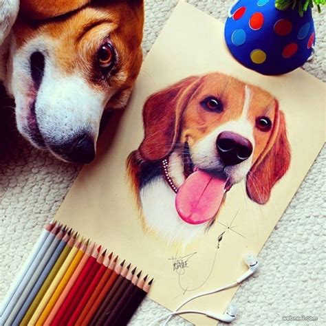 dog color pencil drawing  santiago velasquez