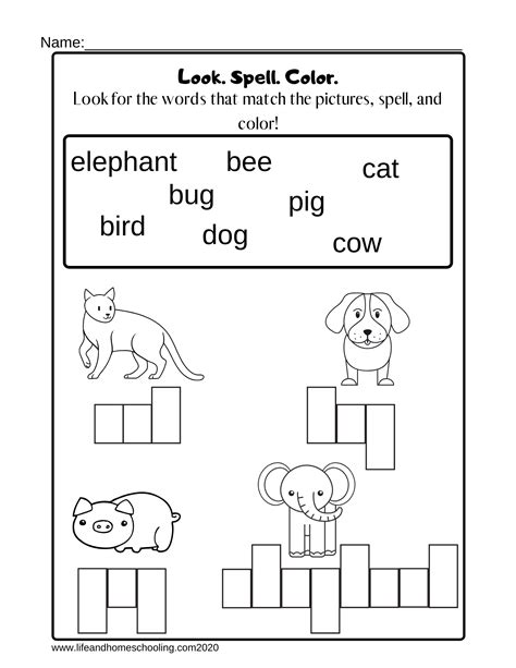 kindergarten spelling worksheet   teachers
