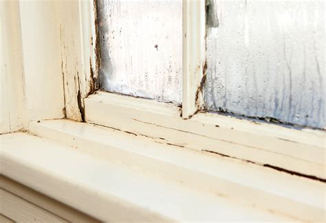 repairing leaking windows smith glass