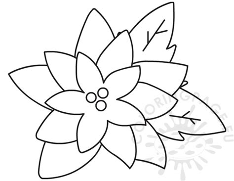 blooming poinsettia coloring sheet coloring page