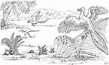 Archaeopteryx Compsognathus Flugsaurier Ausmalbild Jurassic Malvorlage Dinosaur Dinosaurier Microraptor Supercoloring Dinosaurs Pterodactyl Raptor sketch template