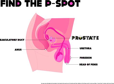 a gay man s guide to hitting your man s prostate every time [nsfw sex ed]