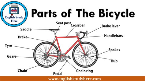 parts   bicycle english study