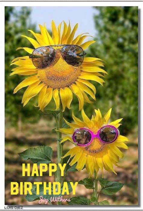 pin  joy withers  happy birthday  sayings sunflower pictures