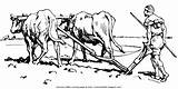 Field Plow Plowing Coloring Oxen Bible Farmer Drawing Ploughman Wooden Harvest Description January sketch template