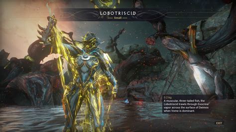 fish  wrongly named ui warframe forums