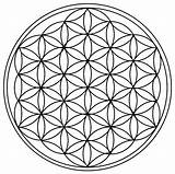 Mandala Mandalas Geometrical Lebensblume sketch template