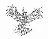 Phoenix Rising Drawing Ashes Tattoo Fire Deviantart Clipart Getdrawings Color sketch template