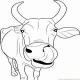 Cow Coloring Pages Dairy Printable Cattle Cows Color Exciting Drive Print Getcolorings Getdrawings sketch template