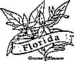 state flowers coloring pages  kids