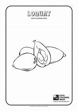 Coloring Loquat Pages Cool Fruits Guava sketch template