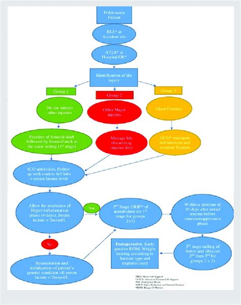 flowchart   management  scientific diagram