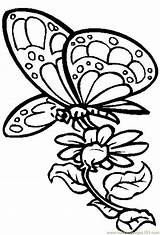 Butterfly Coloring Flower Flowers Pages Color Butterflies Drawings Drawing Nectar Printable Clipart Cardboard Designs Hard Kids Cutout Coolage Draw Insects sketch template