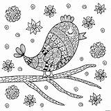 Zentangle Oiseau Mignon Branche Reposant sketch template