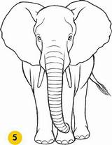 Elephant Drawing Elefant Sketch Easy Outline Draw Drawings Simple African Animals Choose Board sketch template