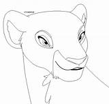 Lion Lioness Lionne Lineart Dessus Grandit Maturite Prend Quand Unr sketch template