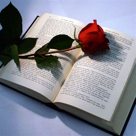 rose  book  skait  deviantart